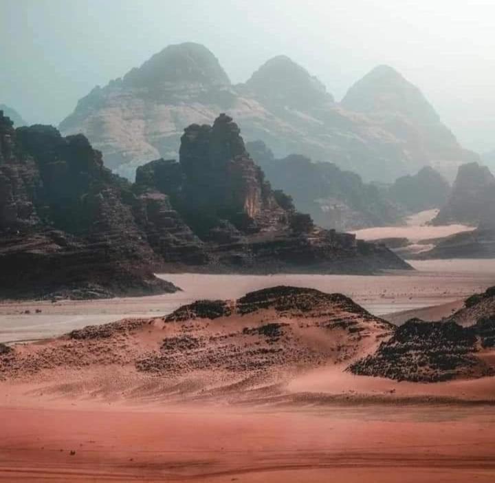 Bedouin Nature Travels Wadi Musa Exterior foto
